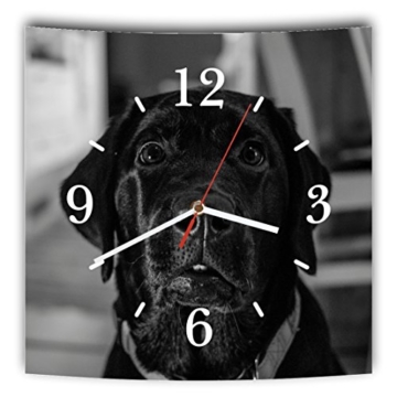 LAUTLOSE Designer Wanduhr mit Spruch Hund schwarz weiß grau weiß modern Dekoschild Abstrakt Bild 29,5 x 28cm - 1